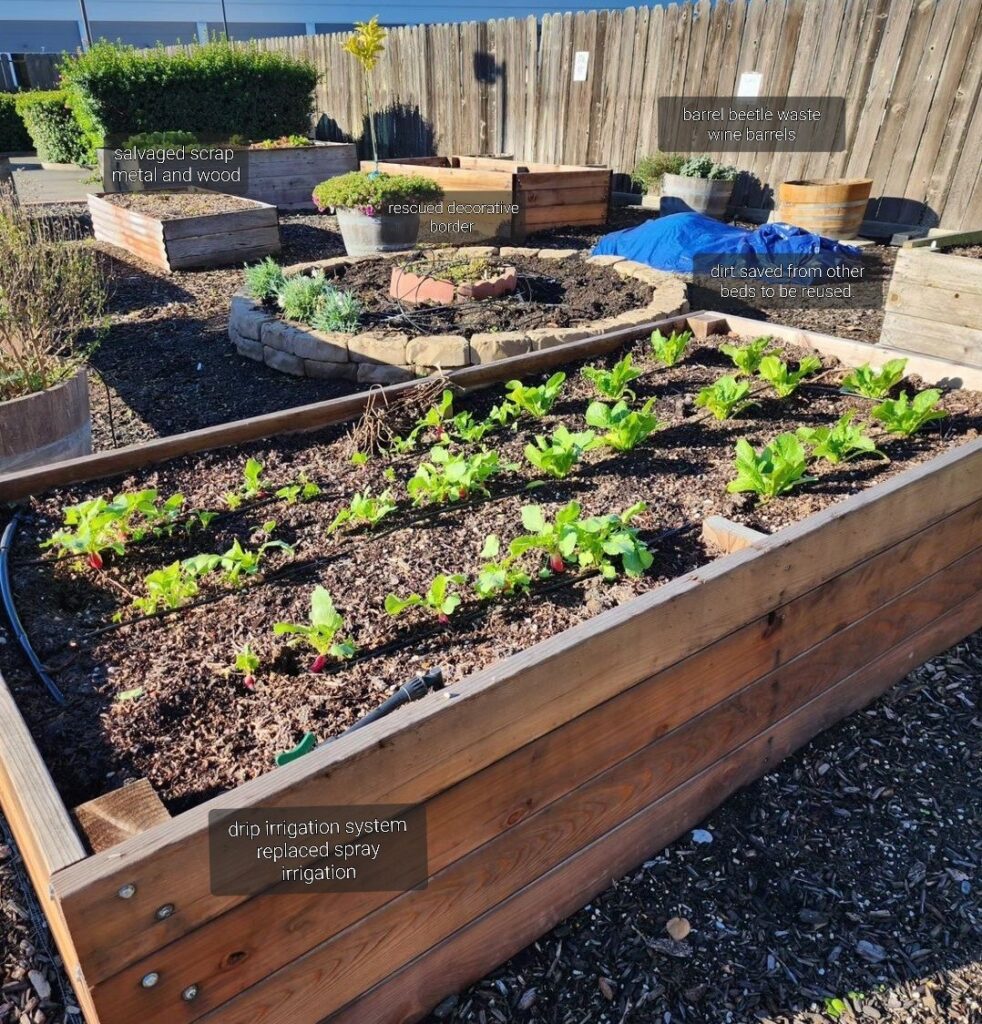 local community garden | photo by Mhairie Robb