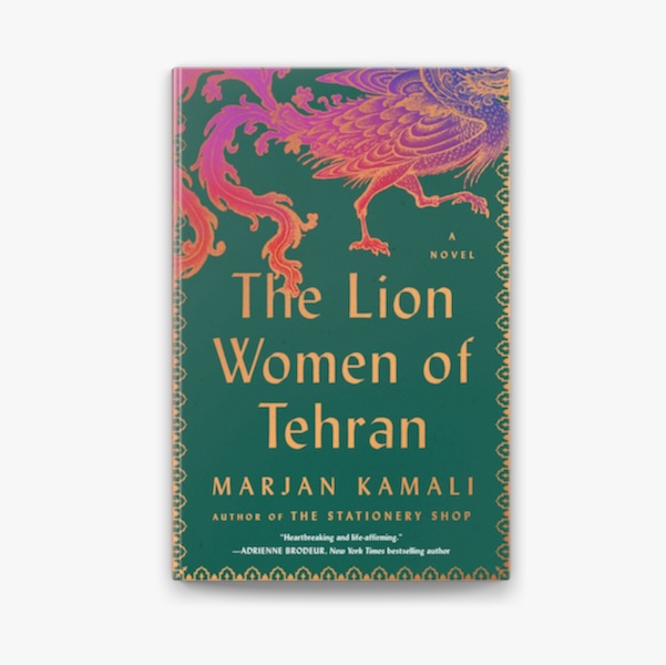 The Lion Women of Tehran - book cover