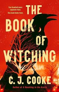 The Book of Witching by C. J. Cooke - book cover featuring the silhouettes of trees and a large crow against and orange-y-red backdrop